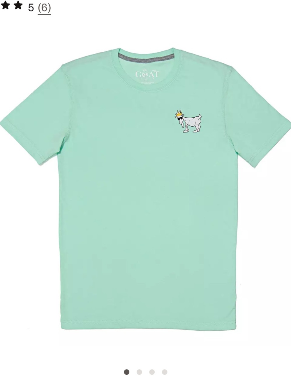GOAT USA Youth WG T-Shirt - Mint YOUTH XL